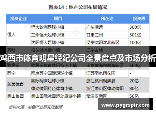 鸡西市体育明星经纪公司全景盘点及市场分析